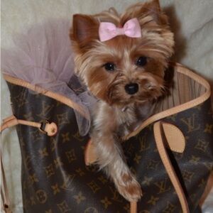 Doggie  bows— handmade(15)